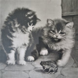CHARMING 1906 Antique Print of Kittens and a Frog, CURIOSITY by JD Cardinell, California, Original Picture Frame,Cat Lovers Gift
