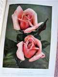 RARE The Rose Encyclopaedia By T Geoffrey W Henslow Organising Secretary Royal International Horticultural Exhibit 1912 A MUST 4  Rose Lover