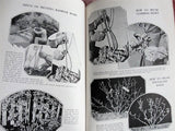 RARE The Rose Encyclopaedia By T Geoffrey W Henslow Organising Secretary Royal International Horticultural Exhibit 1912 A MUST 4  Rose Lover