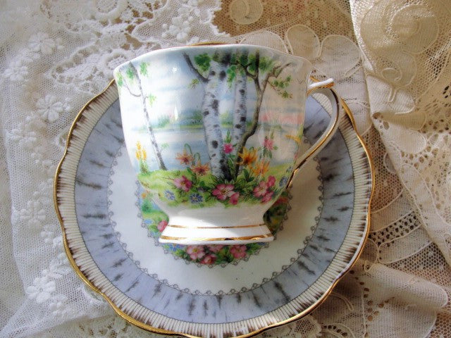 CHARMING Vintage Tea Cup and Saucer SILVER BIRCH Royal Albert English Bone China for Bridal Luncheons,Showers, Hostess Gift, Bridesmaid Gift, Weddings,Tea Parties