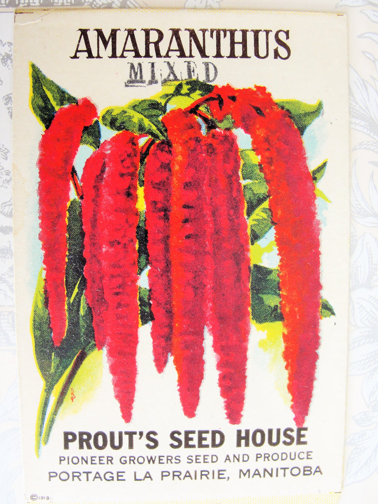 1930s VINTAGE Floral Seed Packet Amaranthus Flowers Colorful Clear Graphics Perfect To Decorate Home, Crafts, Weddings etc