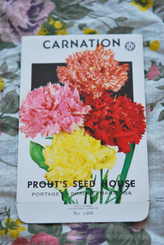 Vintage 1940s Carnations Seed Packet