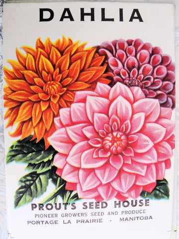 Vintage Seed Packet Plant Markers - Domestically Speaking