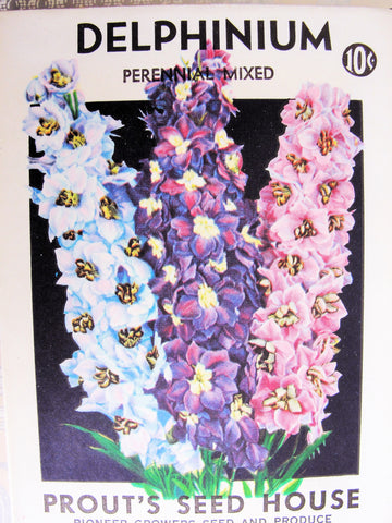 Antique Seed Packet Colorful Delphinium Flowers Suitable To Frame Cottage Chic Decor Scrapbooking Crafts Weddings Gifts