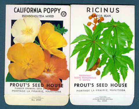 VINTAGE Flower Seed Packets Perfect To Frame Cottage Decor Scrapbooking Wedding Place Cards Collectible Gardening Floral Seed Packets