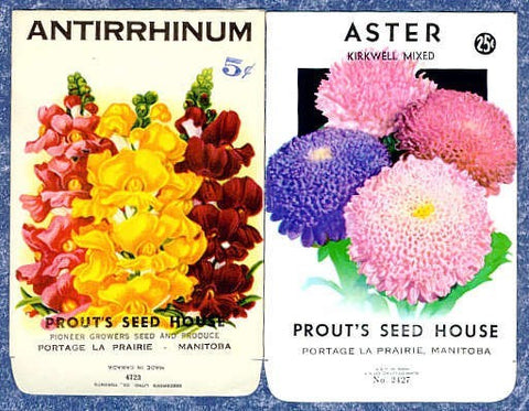 Vintage Flower seed Packets ANTIRRHINUM and ASTOR Colorful Flowers Great To Frame Crafts, Weddings,Scrapbooking Gifts For Gardener