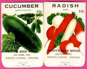 COLORFUL Vintage Vegetable Seed Packets Great To Frame Kitchen Decor Scrapbooking Crafts Wedding