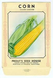 Antique Large Seed Packet Colorful Vegetables Suitable To Frame Cottage Chic Decor  Weddings Gifts,Farmhouse Decor