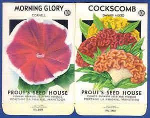 1930s COLORFUL Vintage SEED PACKETS Perfect To Frame or Give As Gift Gardner, Wedding Place Names Scrap Booking Etc