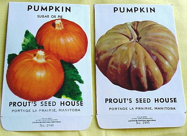 Vintage SEED PACKETS Colorful Pumpkins Suitable To Frame Cottage Chic Decor Scrapbooking Crafts Weddings Gifts Halloween, Farmhouse Decor