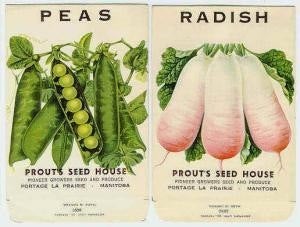 VINTAGE Vegetable Seed Packets Radish, Peas Kitchen Farmhouse, French Country, Cottage Decor , Crafts, Weddings ,Collectible Advertisement
