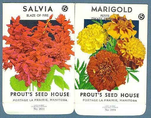 Lovely Old Vintage Seed Packets MARIGOLD and SALVIA Perfect To Frame,Wedding Place Names, Gift For Gardener,Scrap Booking