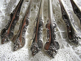 Lovely ORLEANS Silver Plate 6 Coffee SPOONS Espresso Demitasse Flatware 1847 Rogers Bros Silverware Coffee Spoons Set Collectible Silver