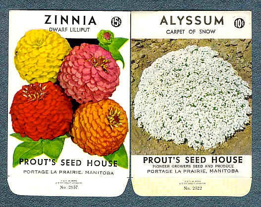Vintage FLORAL SEED PACKETS Never Used Perfect For Framing Crafts Scrapbooking Collages Gardening Collectibles