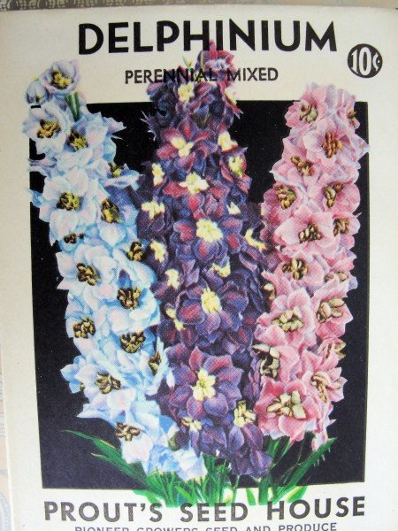Antique Seed Packet Colorful Delphinium Flowers Suitable To Frame French Cottage Chic, Farmhouse Decor Scrapbooking Crafts Weddings Gifts