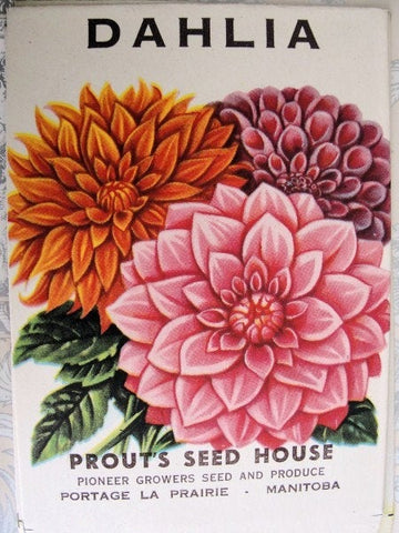 Beautiful VINTAGE Seed Packet Perfect To Frame Great Gift For Gardener, Scrapbooking,French Cottage ,Farmhouse Decor Wedding Place Holders