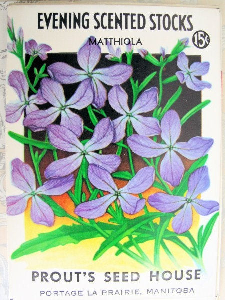 LOVELY Vintage Seed Packet Beautiful Decorative Colorful Perfect To Frame French Cottage Decor Weddings Gardening