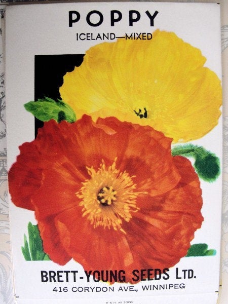 Colorful Vintage FLORAL SEED PACKET Ice Land Poppies, French Cottage, Farmhouse Decor, Weddings, Scrapbooking Crafts