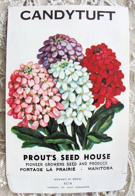Antique Floral SEED PACKET Colorful Flowers Suitable To Frame,French Country, Farmhouse, Cottage Chic Decor, Scrapbooking Crafts, Weddings