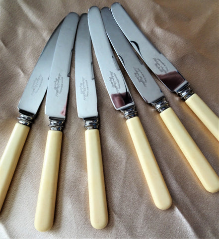 VINTAGE Boxed Knife Set,Beautiful French Ivory Color Handles,Stainless – A  Vintage shop