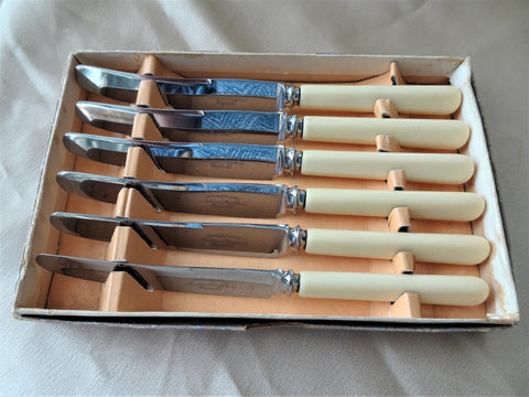VINTAGE Boxed Knife Set,Beautiful French Ivory Color Handles,Stainless Steel Blades Knives,Tea Time Luncheon,Buffet,Dinner Parties,Cutlery