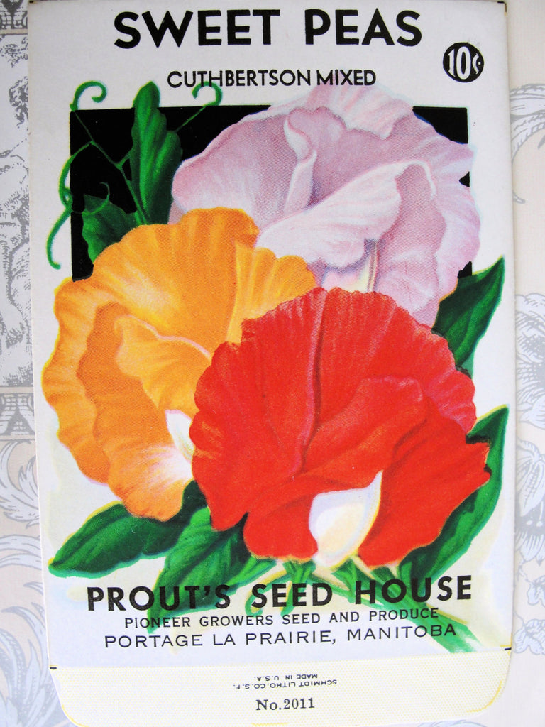 1930s COLORFUL Floral Vintage Seed Packet Perfect to Frame or For Weddings, Crafts Scrapbooking etc