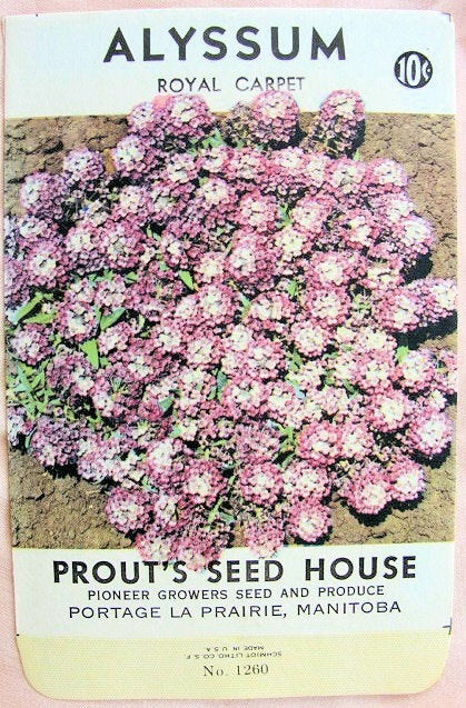 BEAUTIFUL Antique Seed Packet Colorful Flowers Suitable To Frame Cottage Chic Decor Scrapbooking Crafts Weddings Gifts