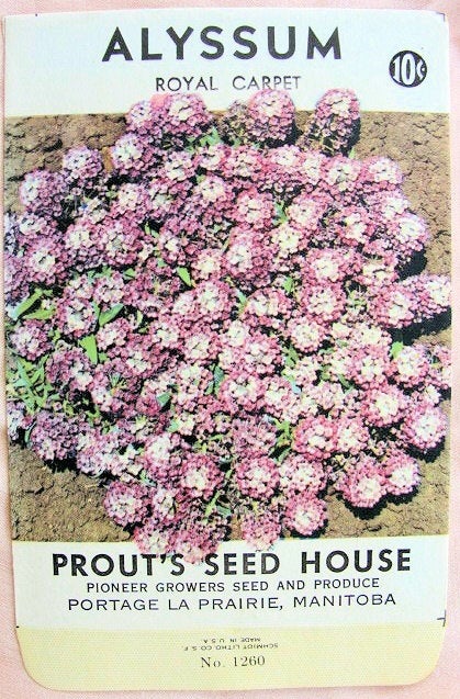 Antique Seed Packet,Colorful Flowers Suitable To Frame, Farmhouse, French Cottage Decor, Scrapbooking Crafts, Woodland Weddings, Gardening