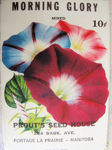 1930s BEAUTIFUL Vintage Floral Seed Packet Morning Glory Flowers, Colorful Decorative, Crafts, Weddings, French Country, Farmhouse Decor