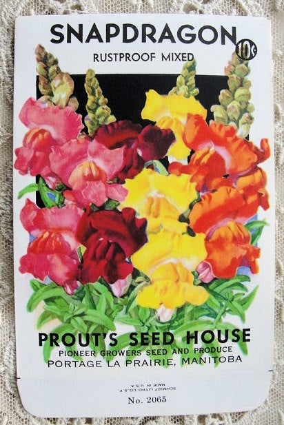 Antique SEED PACKET Colorful Flowers Suitable To Frame Farmhouse, French Country, Cottage Chic Decor, Scrapbooking Crafts, Weddings ,Gifts