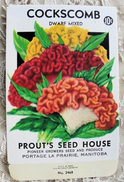 Antique SEED PACKET Colorful Flowers Suitable To Frame Cottage Chic Decor Scrapbooking Crafts  Place Cards Weddings Gifts