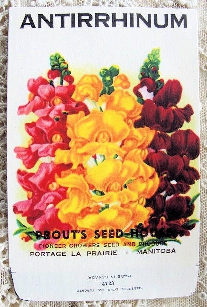 Antique SEED PACKET Colorful Flowers, Suitable To Frame, French Country, Farmhouse, Cottage Chic Decor Scrapbooking Crafts Weddings Gifts