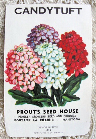 Antique Floral SEED PACKET Colorful Flowers Suitable To Frame Cottage Chic Decor Scrapbooking Crafts Weddings Garden Gifts