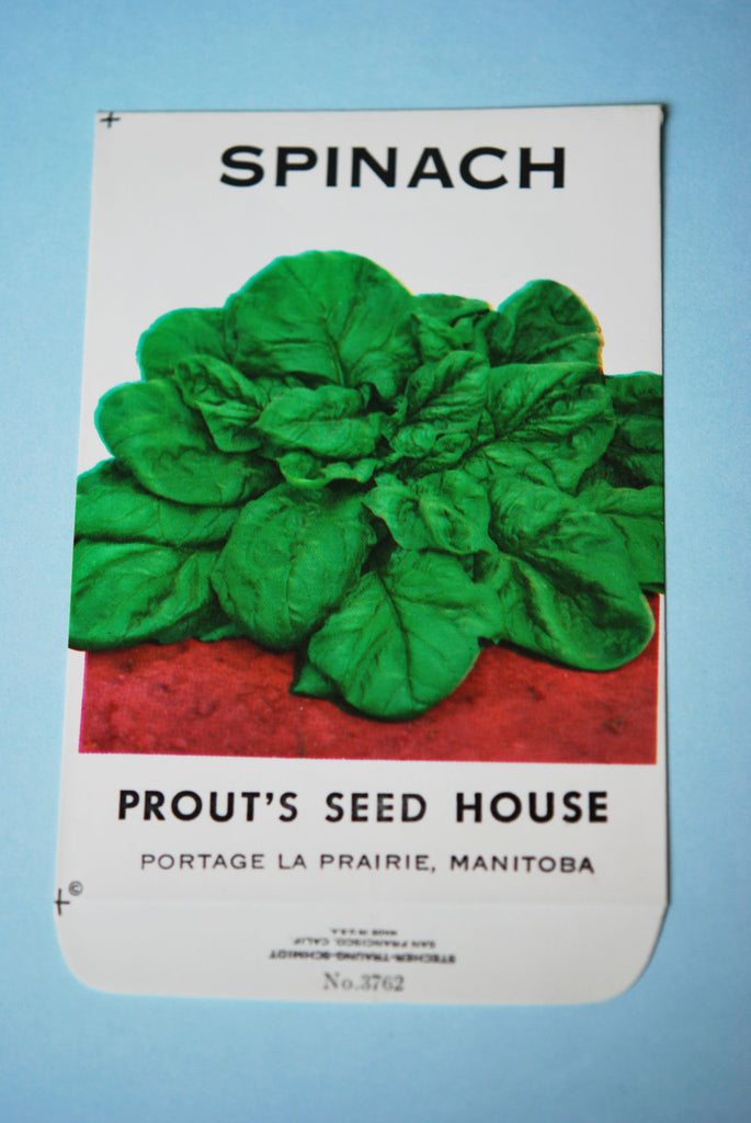 1950s Colourful Spinach Seed Packet