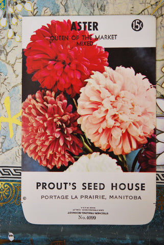 Vintage 1940s Asters Seed Packet